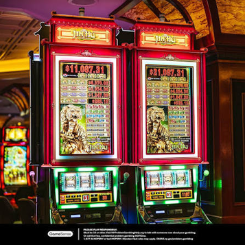 golden tiger casino Gameplay